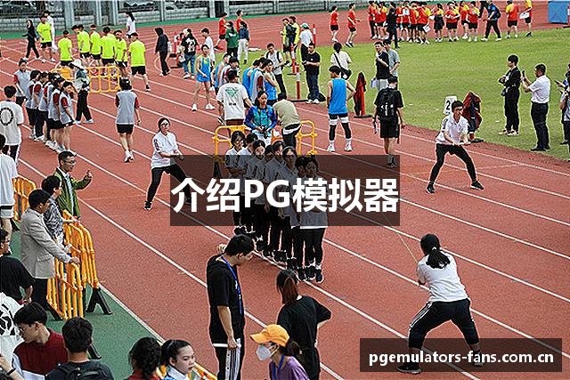 介绍PG模拟器